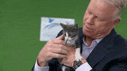 GIF by Hallmark Channel