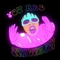 Supa Dupa Fly