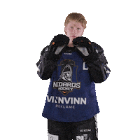 Trondheim Sticker by Nidaros Hockey