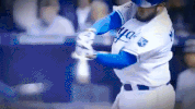 kansas city royals baseball GIF