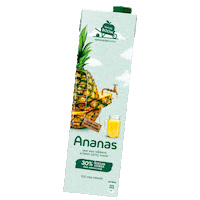vandeboomsapmakers juice pineapple ananas sap Sticker