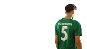 Football Sport Sticker by HSC Hannover