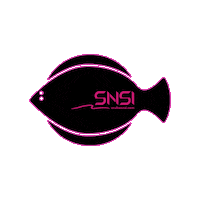 Snsidiver Sticker by SNSI Japan