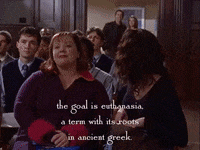 season 2 netflix GIF by Gilmore Girls 