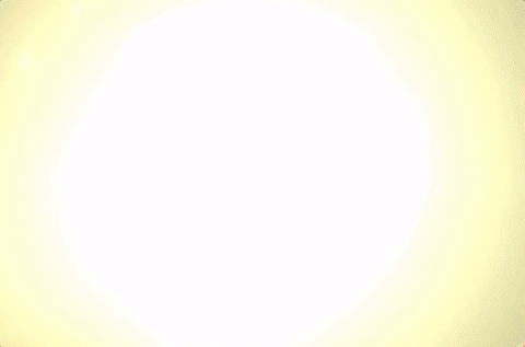 fall in love photography GIF by GoldLink