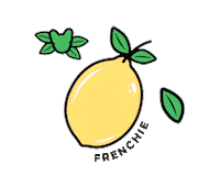 Lemon Frenchie Bulldog Sticker by frenchiepetsupply