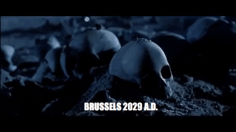 XzoliX giphygifmaker GIF