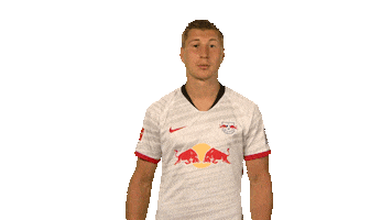 Red Bulls Wow Sticker by Bundesliga