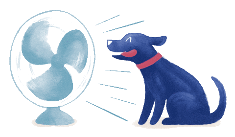 medivetcomunicacion giphyupload medivet medivetgroup medivetsp Sticker