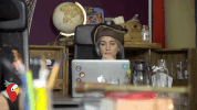 holidaypirates fun wow omg wtf GIF