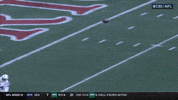 Nfl Football GIF by New England Patriots