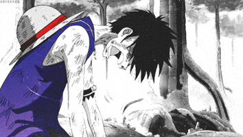 one piece GIF