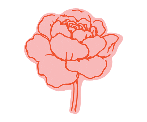 freshsends giphyupload flower rose fresh Sticker