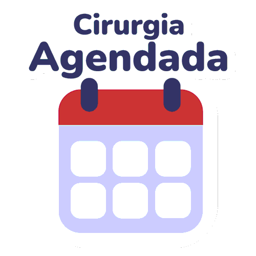 projetoorelhinha giphyupload ears ear cirurgia Sticker