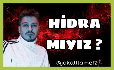 Hidra GIF