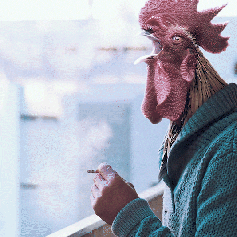parmegia giphyupload smoking cigarro cigarrete GIF