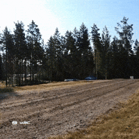 High Speed Motorsport GIF by FIA World Rally Championship