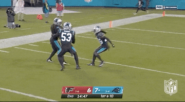 Carolina Panthers Football GIF by NFL