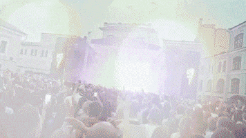Festival Concert GIF by more love