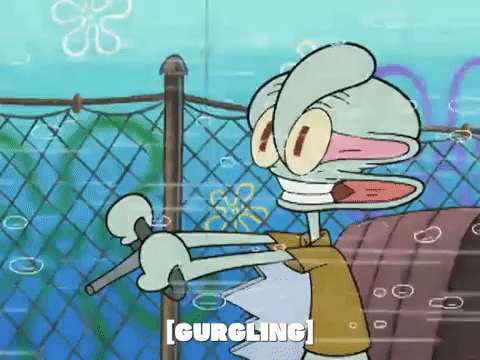 season 5 GIF by SpongeBob SquarePants
