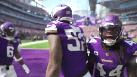 Celebration Scream GIF by Minnesota Vikings