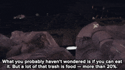 video news GIF