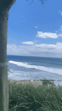 Puerto Rico Beach GIF