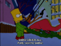 Season 9 Snow GIF by The Simpsons
