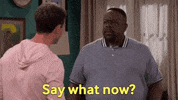 Excuse Me What GIF by CBS