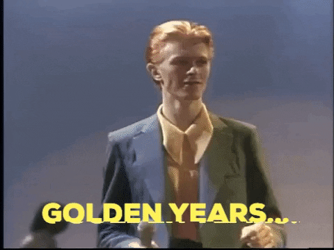 tomeames giphygifmaker david bowie GIF