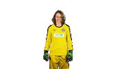 Motivation Go Sticker by Holstein Kiel