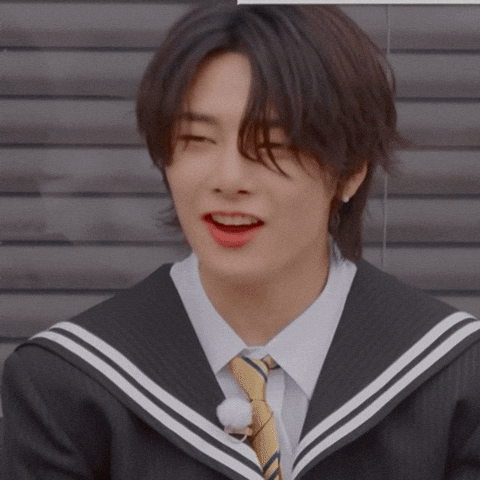 Stray Kids Skz GIF