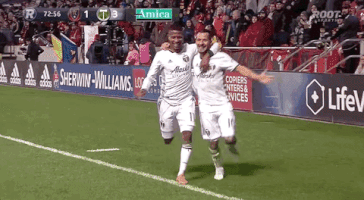 portland timbers celebration GIF by Timbers