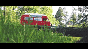 montana GIF