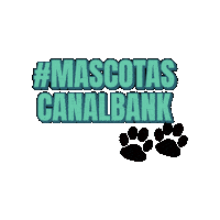 Cbk Sticker by Canalbank