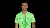 Like A Boss Deal With It GIF by VfL Wolfsburg