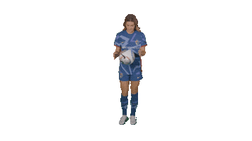 North Carolina Courage Sport Sticker by National Women's Soccer League