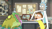 Rick And Morty Picture GIF by Adult Swim