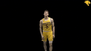 Cuc19 D3Hoops GIF by CUCougars