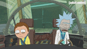 Season 3 Episode 6 GIF by Rick and Morty