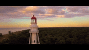 wisconsin GIF
