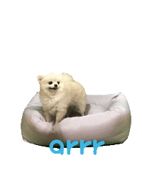 아르르 Sticker by arrr_official
