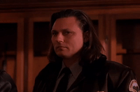 season 2 hawk GIF by Twin Peaks on Showtime