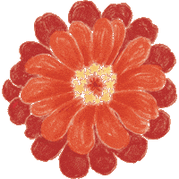 Drfelisflower Sticker by Dr.Felis