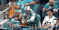 2018 Nfl Applause GIF by NFL