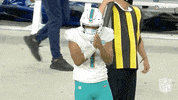 Regular Season Applause GIF by NFL