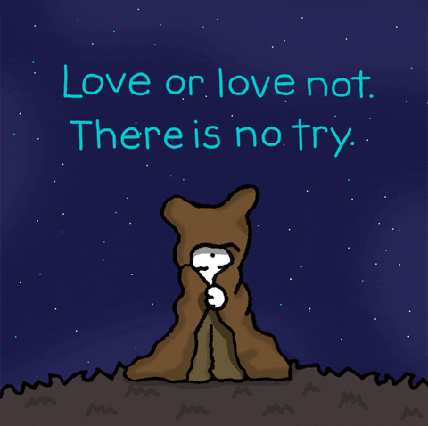 Try Or Try Not May The Fourth GIF by Chippy the Dog