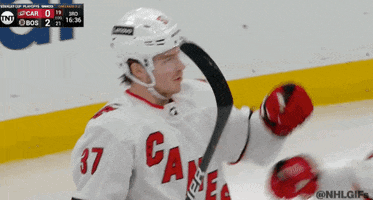 Ice Hockey Hug GIF by NHL