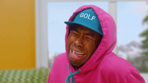 Tamale Crying GIF by Tyler, the Creator
