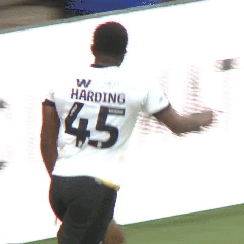 The Lions Football GIF by MillwallFC